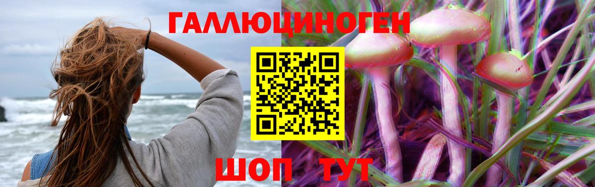 Галлюциногенные грибы Psilocybine cubensis  Вход с VPN  Краснокамск 